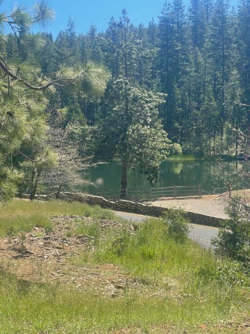 Lakeside Bls Retreat Near Big Trees & Bear Valley Villa Arnold Dış mekan fotoğraf