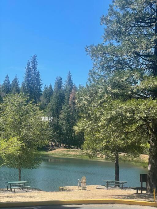 Lakeside Bls Retreat Near Big Trees & Bear Valley Villa Arnold Dış mekan fotoğraf