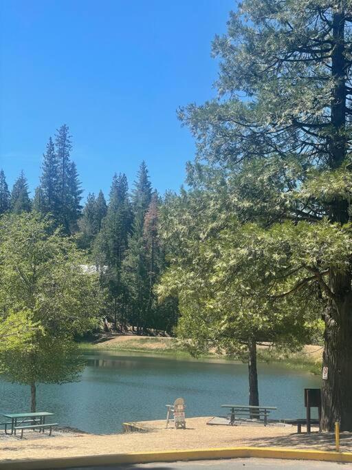 Lakeside Bls Retreat Near Big Trees & Bear Valley Villa Arnold Dış mekan fotoğraf