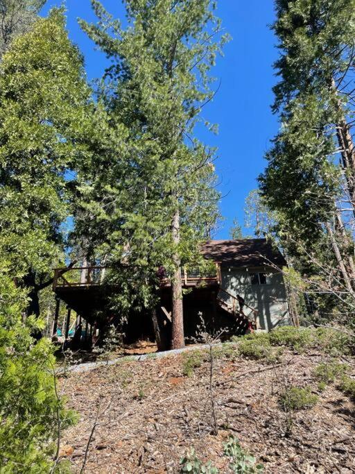 Lakeside Bls Retreat Near Big Trees & Bear Valley Villa Arnold Dış mekan fotoğraf